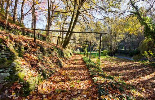 Quinta de Mourães Casa dos Rododendros - Foto 78