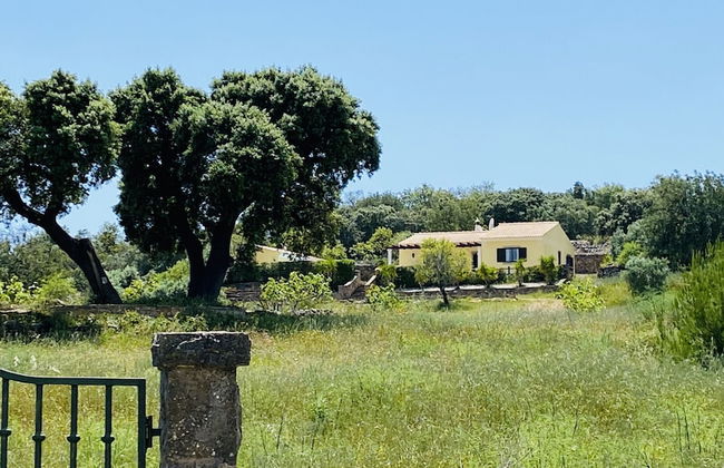 Portel CIP - Foto 24