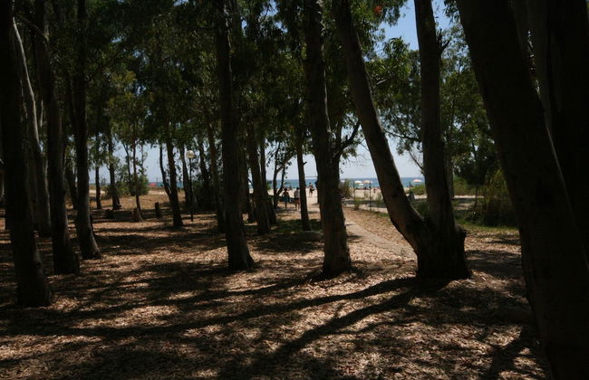 Villa Lola - Foto 12