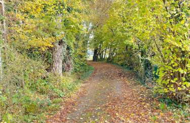 Maison normande sur parc arboré ambiance bucolique - Foto 59