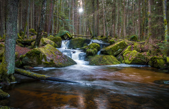 3 bedroom House in Lipno nad Vltavou with garden - Photo 22