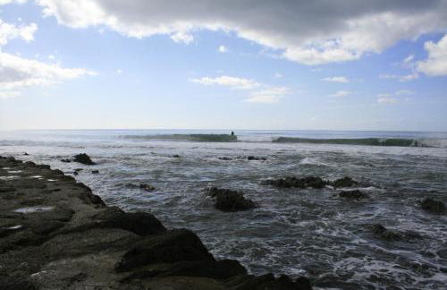 Trewebster - Photo 41