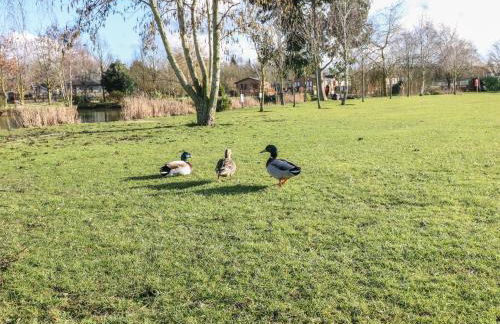 Stones Throw - Foto 29