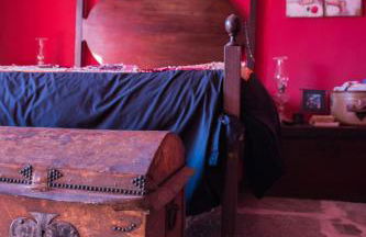 Cardenha do Douro - Photo 19