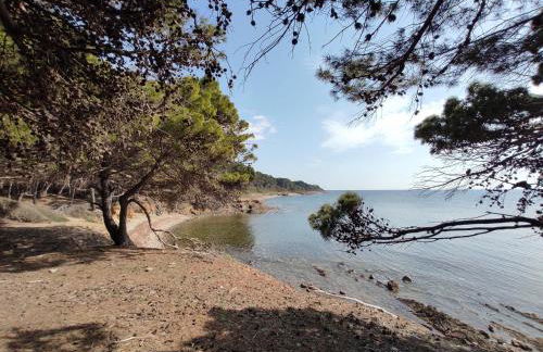 Tenuta Marga - Foto 25