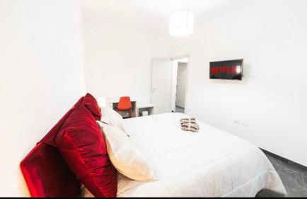 Corte ‘e susu - Foto 21