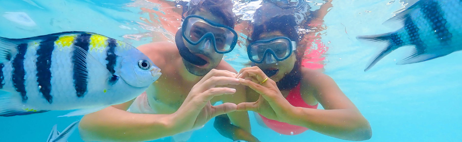 Snorkeling sur l’île de Santa Fé et Playa Escondida
