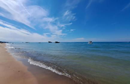 Beachcomber - Photo 28