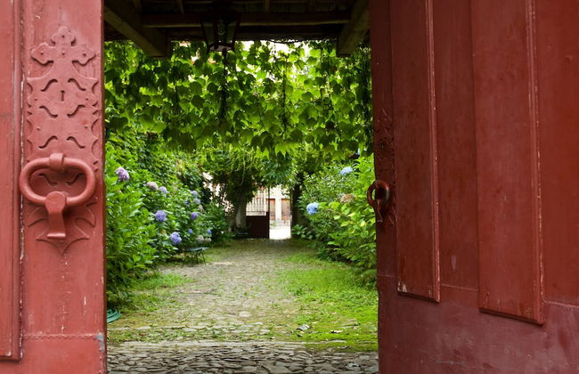 Quinta da Picaria - Foto 34