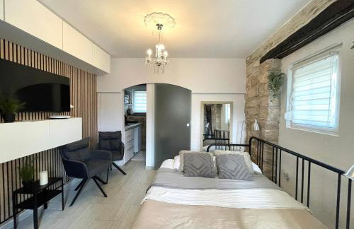 Villa AMore Radini Istrian antique stone house Studio with private parking and terrace - Foto 1