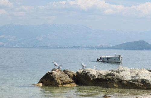 Apartman Antea - Foto 32