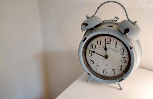 Ferien auf der Fleischdielte - Foto 17