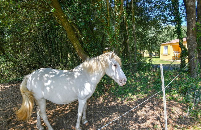 Gite in Holiday Park With Swimming Pool - Foto 35