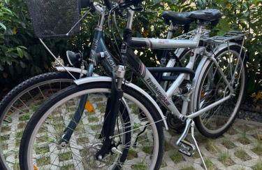 Ferienwohnungen in Erfurt - Foto 7