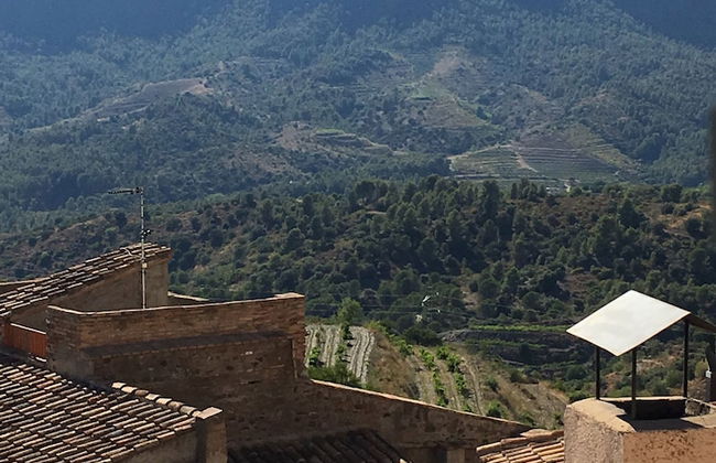 Cal Campana - Adults Only - Photo 50