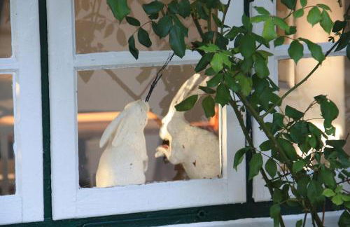 Friesenhaus Amrum Friesenhaushälfte *Hommelkasche* - Foto 35