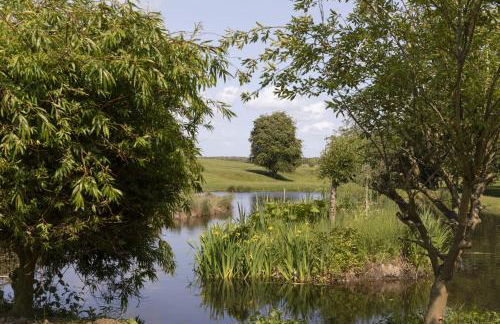 East Lodge, Yorkshire - Foto 31