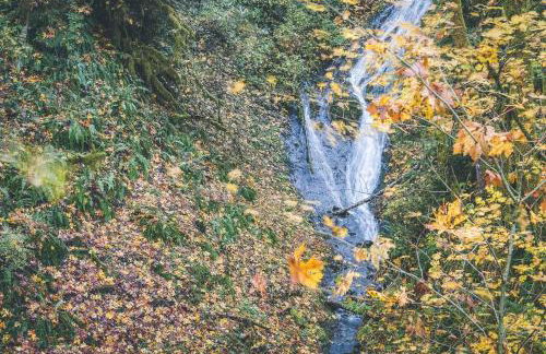 Cedar Creek Hideaway - Meredith Lodging - Foto 43