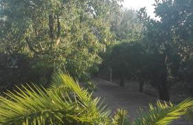 Panos and Chrisas House - Foto 30