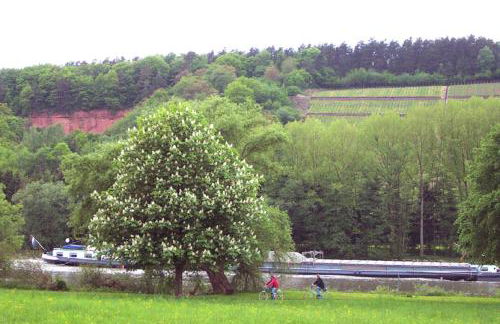 Ferienwohnung Auf Schäfers Spuren - Foto 20