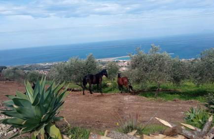 Agriturismo Serre - Foto 18