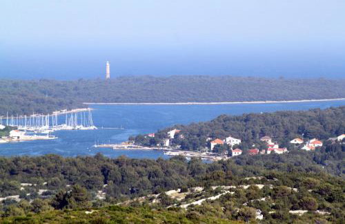 Apartments by the sea Verunic, Dugi otok - 8103 - Foto 35