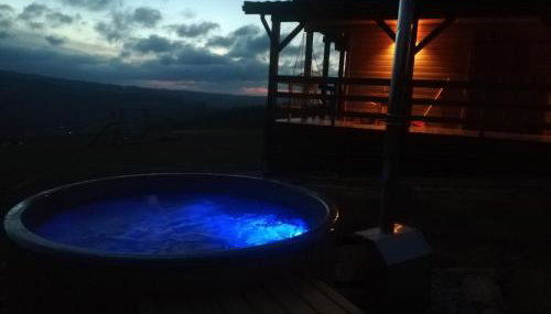 Domki całoroczne DŁUGOSZÓWKA pod Rzeszowem, Jacuzzi-Sauna-Basen-Alpaki - Foto 4