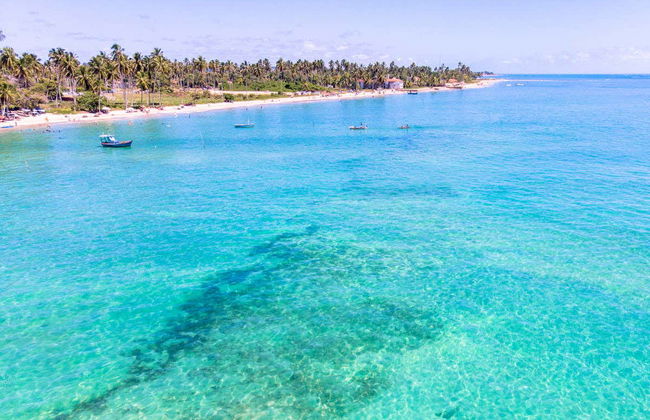 Excursión privada a Maragogi - Foto 5