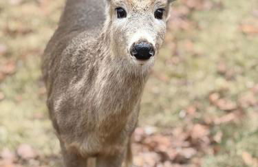 Pocono Chalet,Hot Tub,Arcade,Fireplace, Lake,Pool, Pet friendly, near Jim Thorpe No extra fees to use amenities - Foto 3