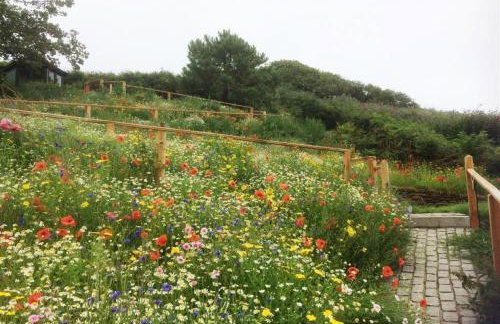 Puckey Hill - Photo 4