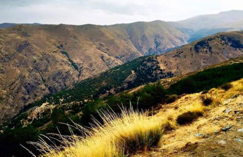 Casas Rurales Telecabina Las Catifas - Photo 75