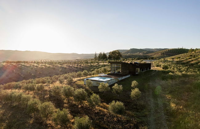 Golden House - Foto 36