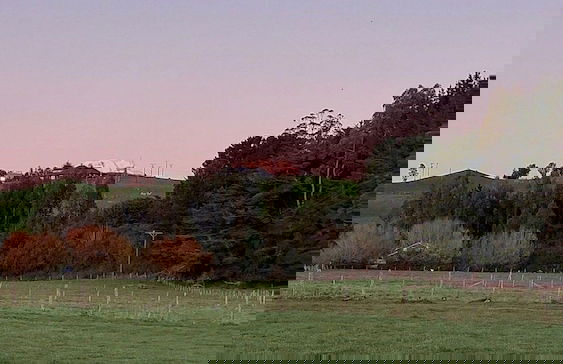 Cabañas ecológicas - Foto 41