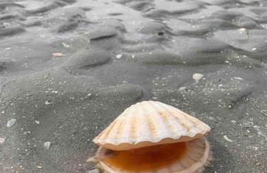 Ravissant studio en bord de mer - Photo 10