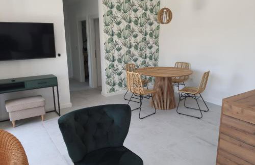 Apartments Krista Medveja - Photo 5