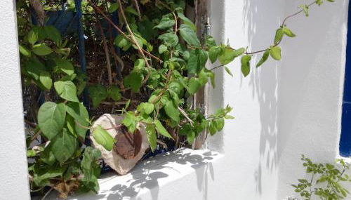 20 Casa da Aldeia - Foto 5