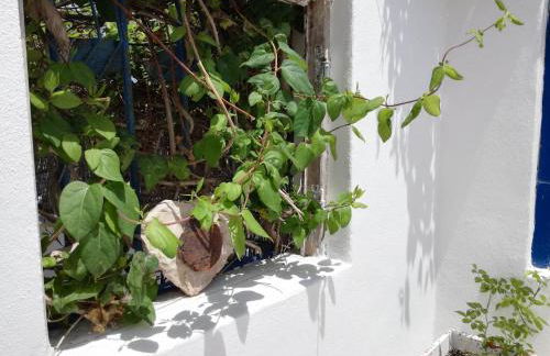 20 Casa da Aldeia - Foto 5