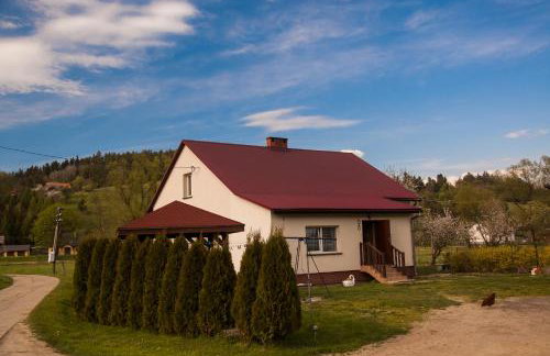 U Jadzi Pogórze Przemyskie - Foto 16