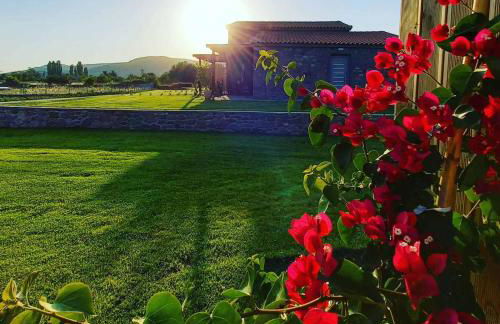 Lithos Villas - Photo 24