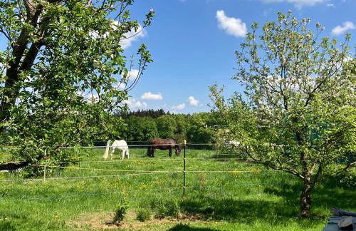 Wohnung mit Bergblick - Photo 2