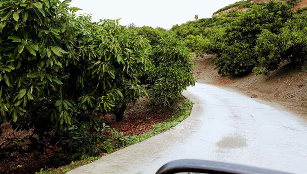 Tour in Frigiliana - Photo 3