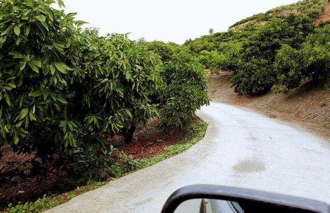 Tour in Frigiliana - Photo 3