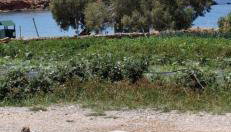 White Lotus seaside apartment - Foto 3