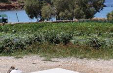 White Lotus seaside apartment - Photo 3