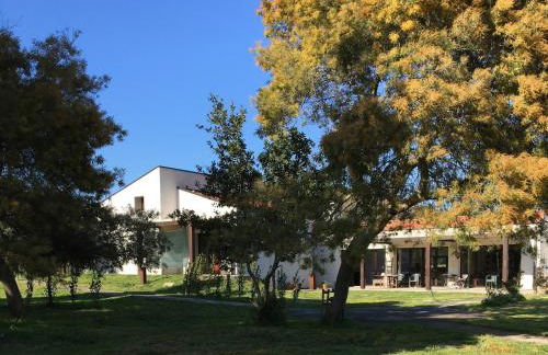 Le CaRaMeLle di Baratti - Foto 3