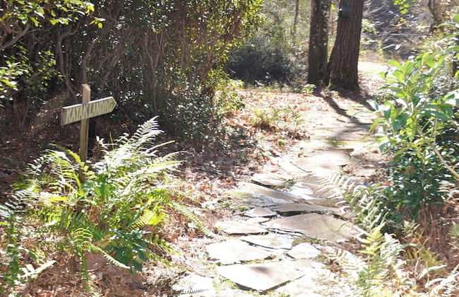 Little River Bluffs - Photo 50