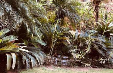 Sítio aconchegante em Sana ! - Photo 16