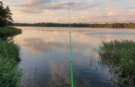 Well-equipped Beachside Cottage - Foto 39