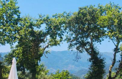 Gerês - Casa da Cabana - Foto 18