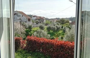 Casa da Ti Emília - Foto 8